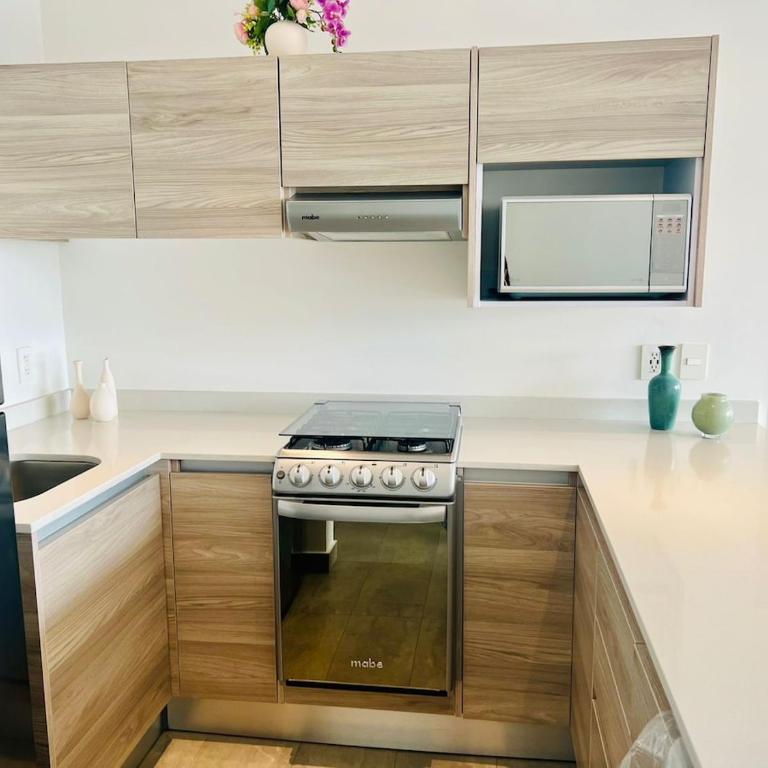 Amazing Polanco apartment with pool - Two-Bedroom Apartment - 10