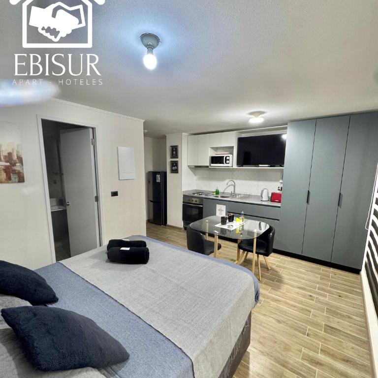 EBISUR Apart - Hoteles MAIPU 2 - One-Bedroom Apartment - 5