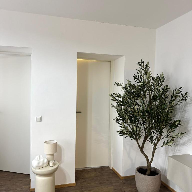 Modernes Apartment Linz - Kostenloser Parkplatz - Zentral - Apartment mit 1 Schlafzimmer - 6
