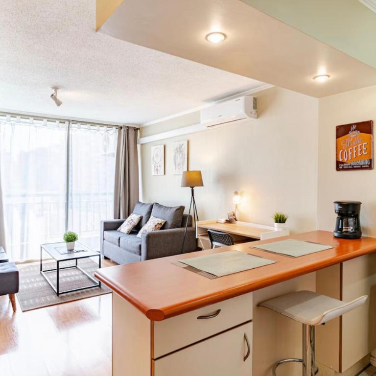 Deptos Santiago Centro-Metro Moneda - One-Bedroom Apartment with Balcony and City View - 11