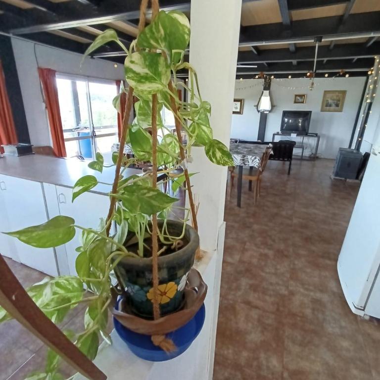 Casa Hebe - Casa Unifamiliar de 3 dormitorios - 6