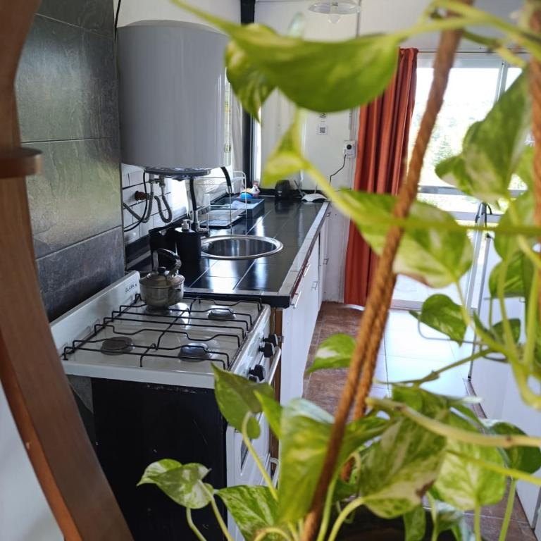 Casa Hebe - Casa Unifamiliar de 3 dormitorios - 7