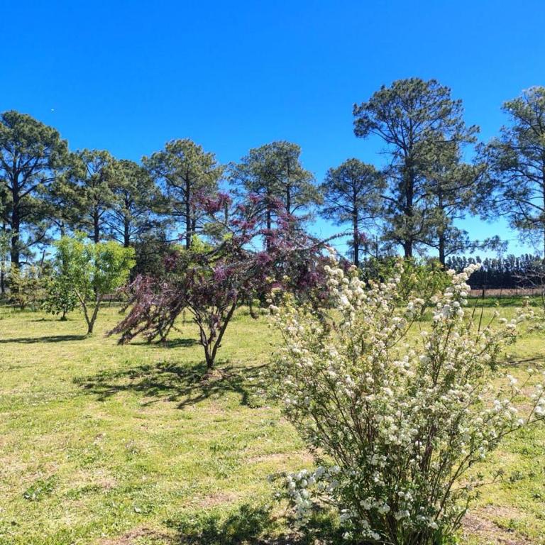 Casa de campo - Four-Bedroom House - 10