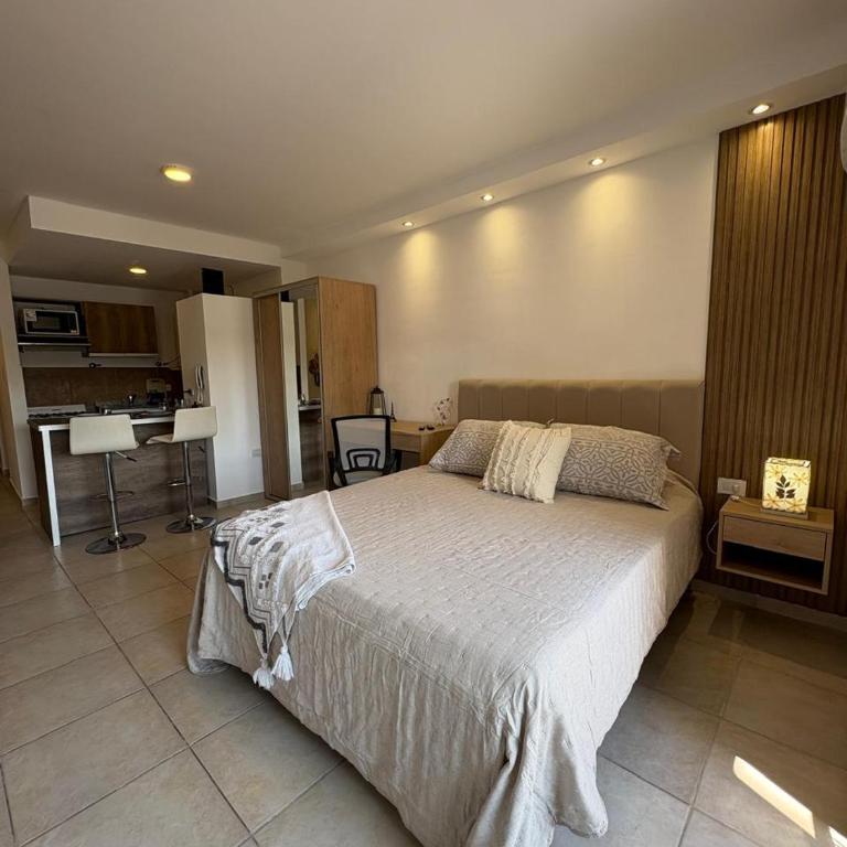 suite urquiza - One-Bedroom Apartment - 6