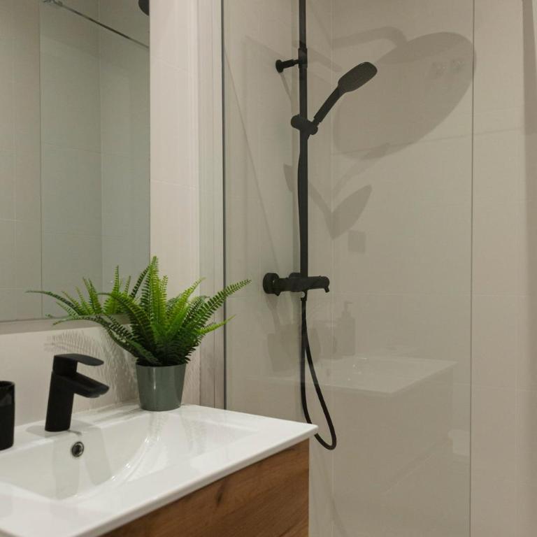 Barcelona - Gracia 5-B - One-Bedroom Apartment - 23