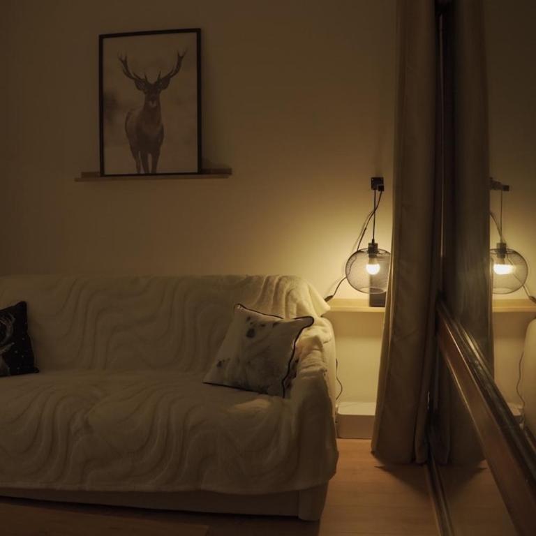 Cozy Studio Font Romeu - Le Petit Flocon de Neige - Appartement 1 Chambre - 14