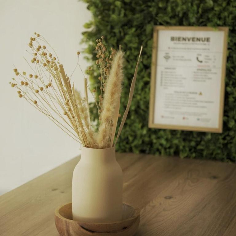 Cozy Studio Font Romeu - Le Petit Flocon de Neige - Appartement 1 Chambre - 21