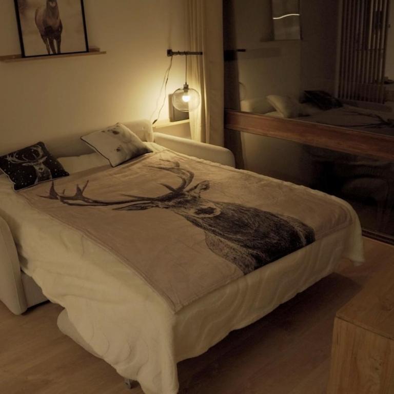 Cozy Studio Font Romeu - Le Petit Flocon de Neige - Appartement 1 Chambre - 11