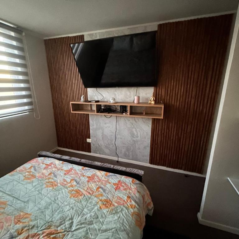 Departamento cerrillos - Apartamento de 2 dormitorios - 4