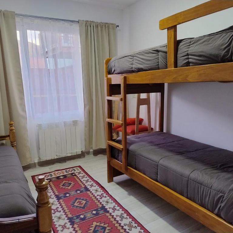 Apart Ruta 40 - Apartamento Deluxe de 2 dormitorios - 6