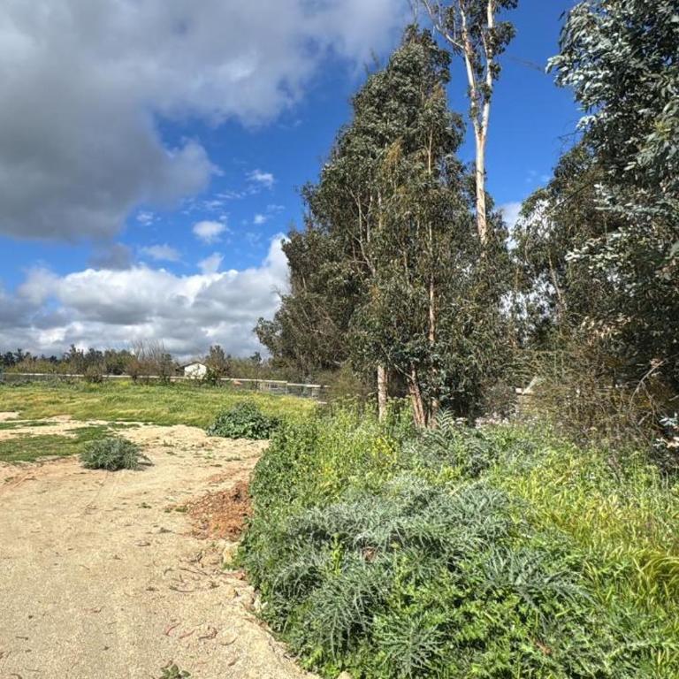 Alojamiento cabañas en Casablanca - Casa de 2 dormitorios - 4