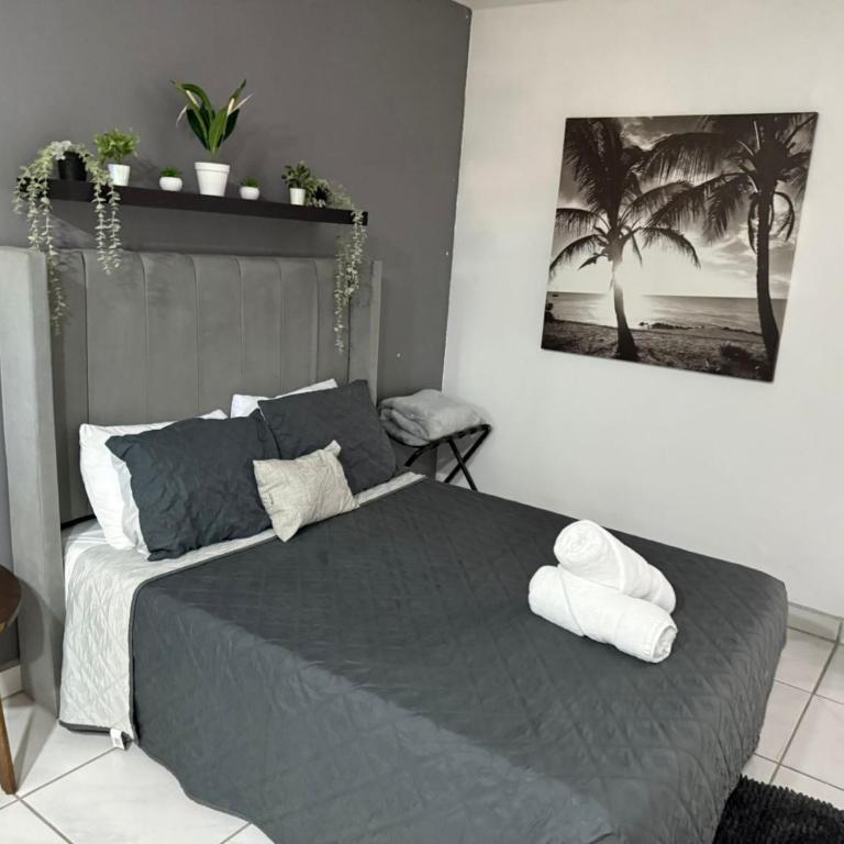Brisa Serena - Apartamento de 1 dormitorio - 1