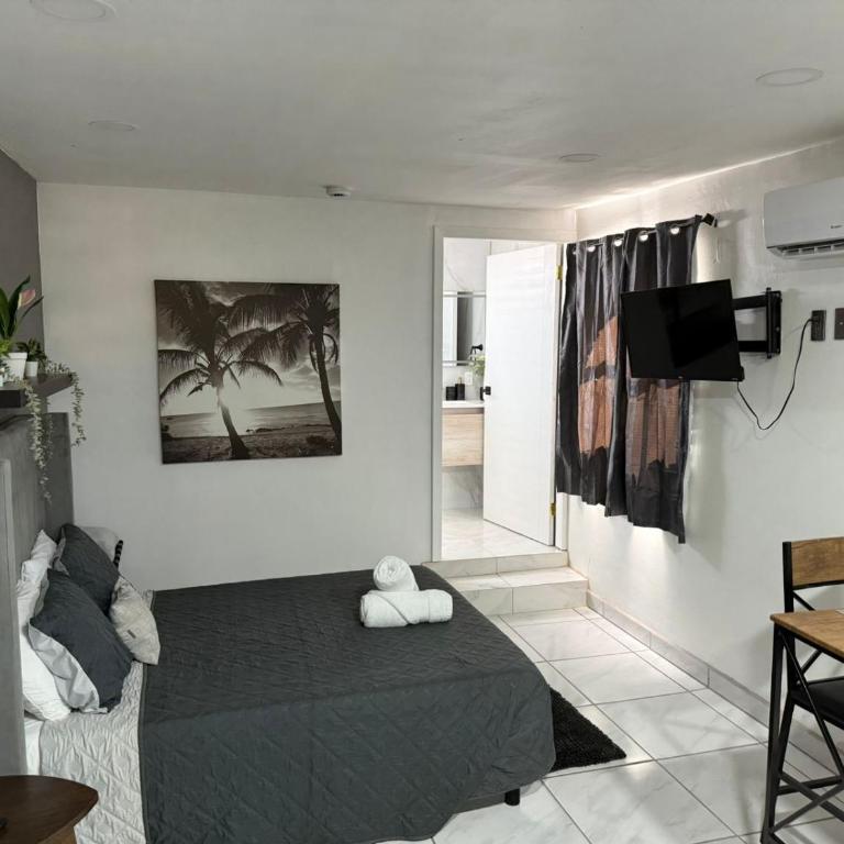 Brisa Serena - Apartamento de 1 dormitorio - 3