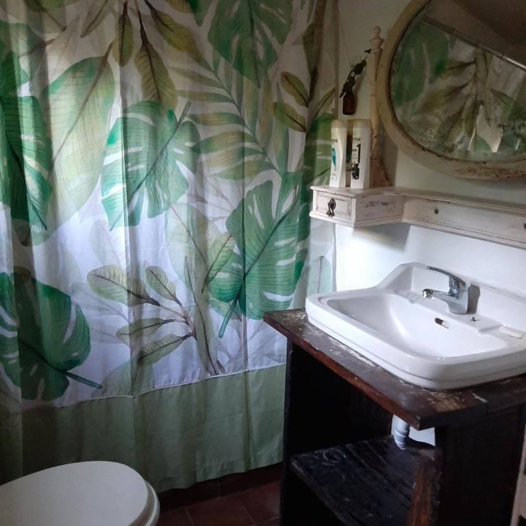 Delta Rose Farm ll - Two-Bedroom House - 4