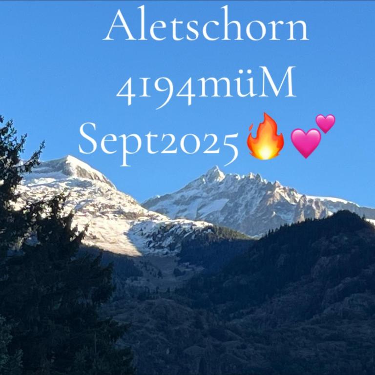 Historische Maisonettewohnung bis 10 Gäste, Magic Pass Belalp, Rosswald und mehr - Apartment - 5