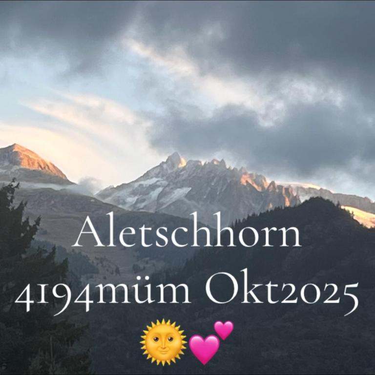 Historische Maisonettewohnung bis 10 Gäste, Magic Pass Belalp, Rosswald und mehr - Apartment - 4