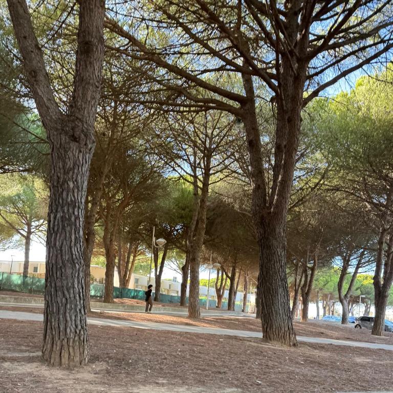 Cap Parenthèse By L'Avenue - T2 Familial - Proche plage, Seaquarium - 2e étage - Parking privé - Appartamento con 1 Camera da Letto - 25