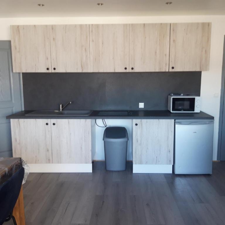 Gambetta Insolite - Appartement 1 Chambre - 17