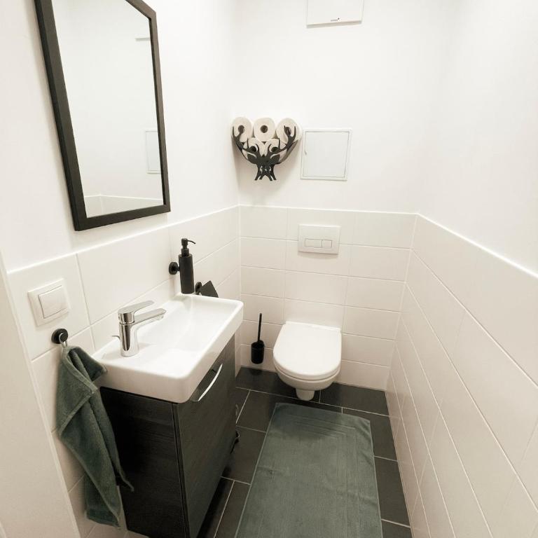 Modern maisonette with big garden in Graz - Apartamento de 3 dormitorios con balcón - 8