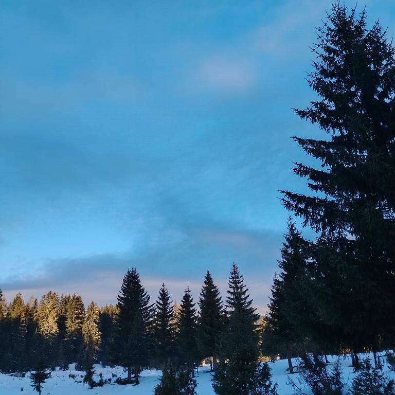 M&K chalets - One-Bedroom Chalet - 37