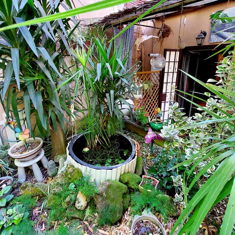 Garden Corner Pigneto apartment Rome - Appartamento con 1 Camera da Letto - 16
