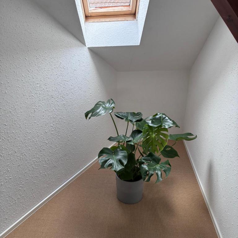 Colmar charmant logement - Appartement 2 Chambres - 7