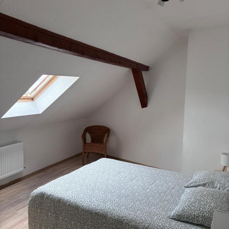 Colmar charmant logement - Appartement 2 Chambres - 10