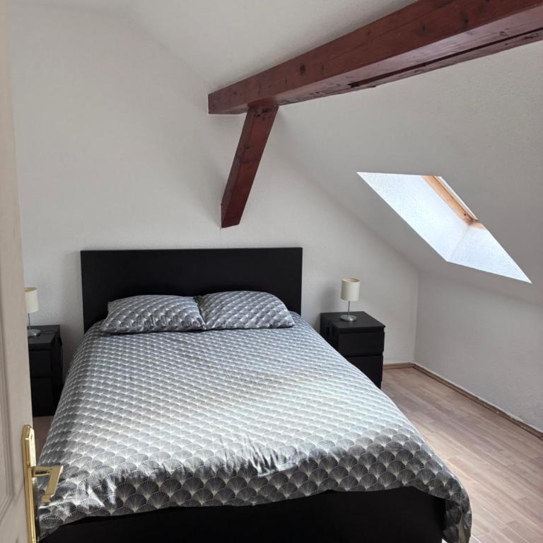 Colmar charmant logement - Appartement 2 Chambres - 9