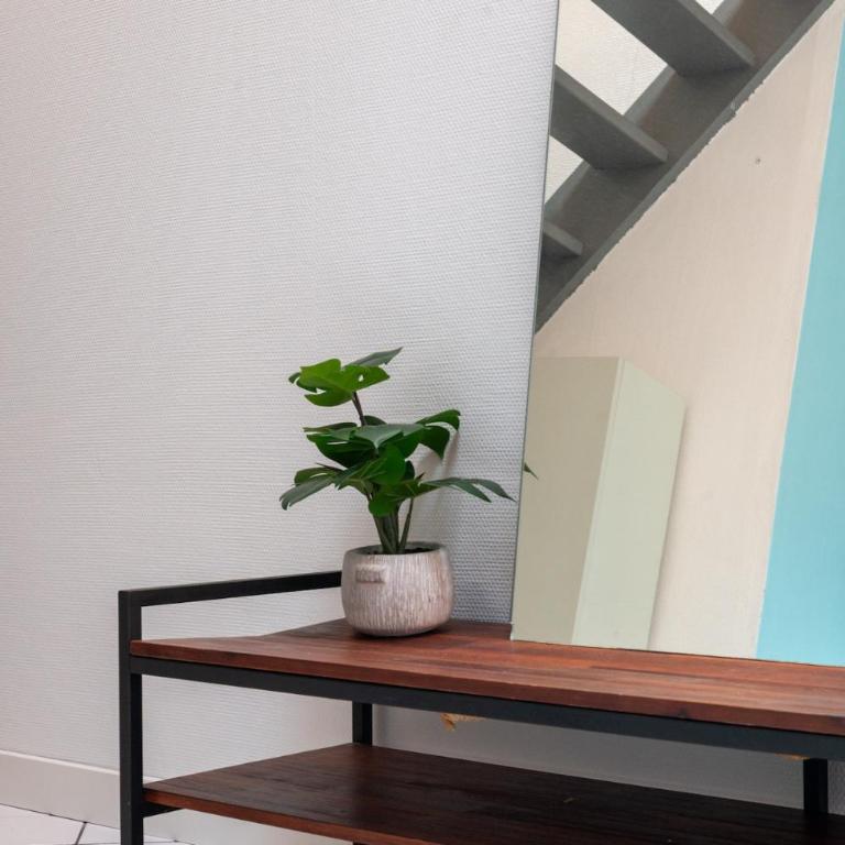 Le Central - Appartement 1 Chambre - 8