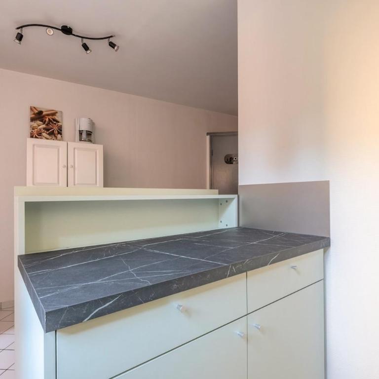 Le Central - Appartement 1 Chambre - 22