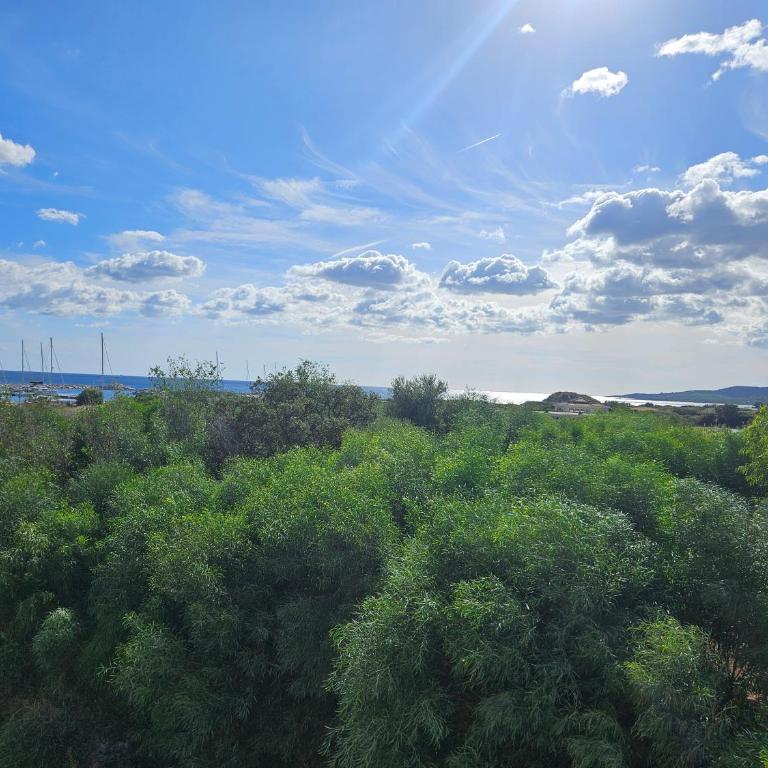 Hotel Onda Marina - Camera Matrimoniale/Doppia con Letti Singoli con Vista Mare Laterale - 5