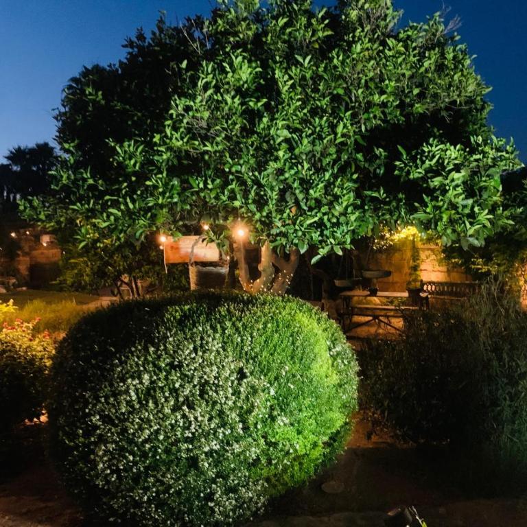 Villa De Santis Gallipoli Relax e Natura - Casa con 2 Camere da Letto - 20