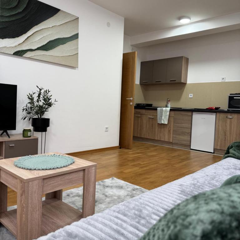 Apartman Lambros - Apartman sa 1 Spavaćom Sobom - 10