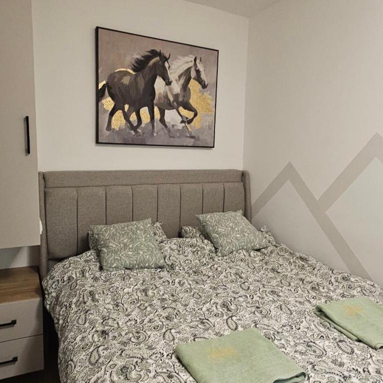 Valena 1 Divčibare - Apartman sa 1 Spavaćom Sobom - 32