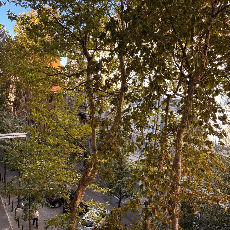 Casa Viale - Appartamento con 1 Camera da Letto - 12