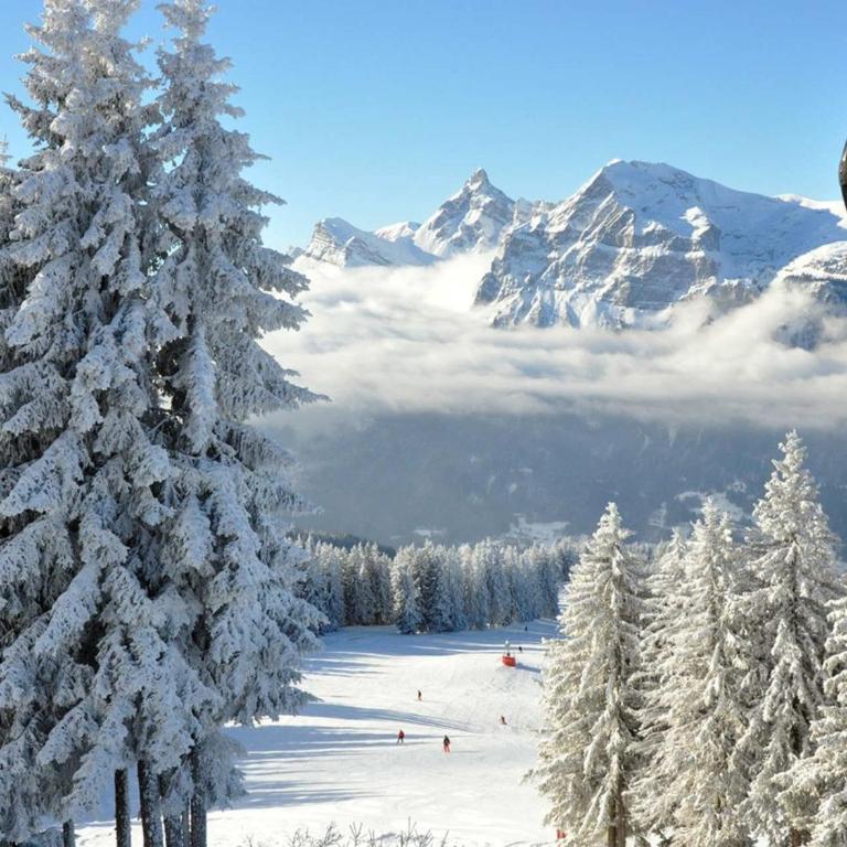 Studio 4 pers, cabine, Les Carroz, proche pistes - FR-1-572-95 - Studio - 8