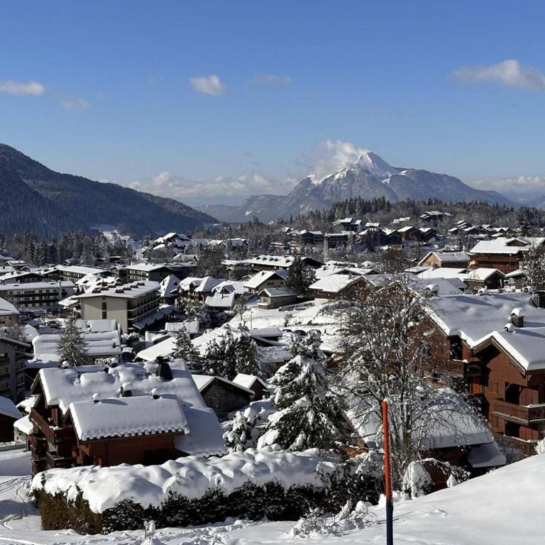 Studio 4 pers, cabine, Les Carroz, proche pistes - FR-1-572-95 - Studio - 13