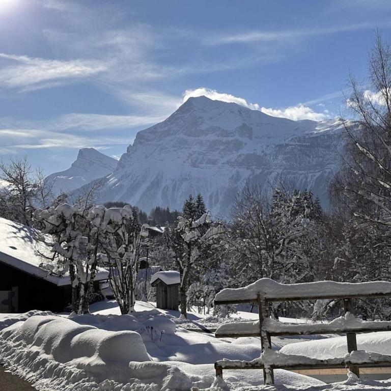 Studio 4 pers, cabine, Les Carroz, proche pistes - FR-1-572-95 - Studio - 15