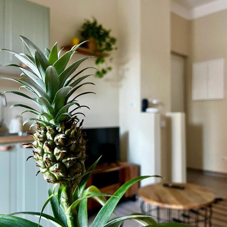 Tropical Cocoon in Monza - Apartment mit 1 Schlafzimmer - 2