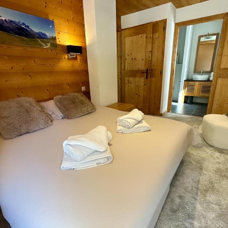 Chez Charles I Vallorcine Viachamonix - Appartement - 4
