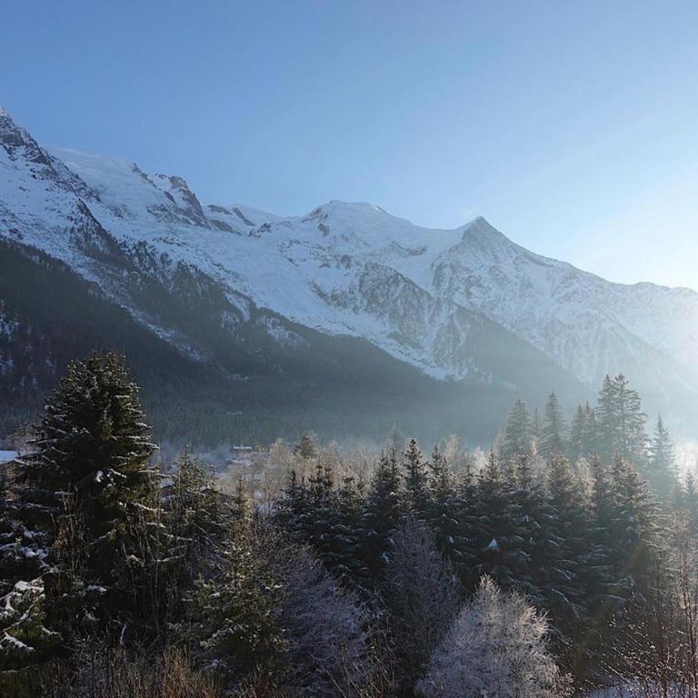 Quartz - Appt 4 etoiles vue Mont-Blanc - Centre - Apartamento - 24