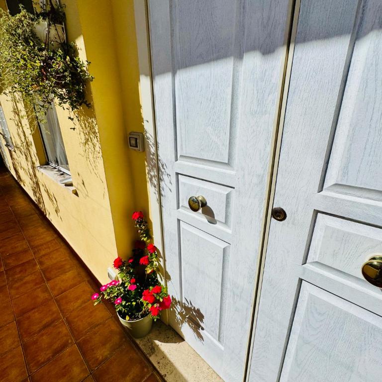 Otranto 36 - Apartment - 6