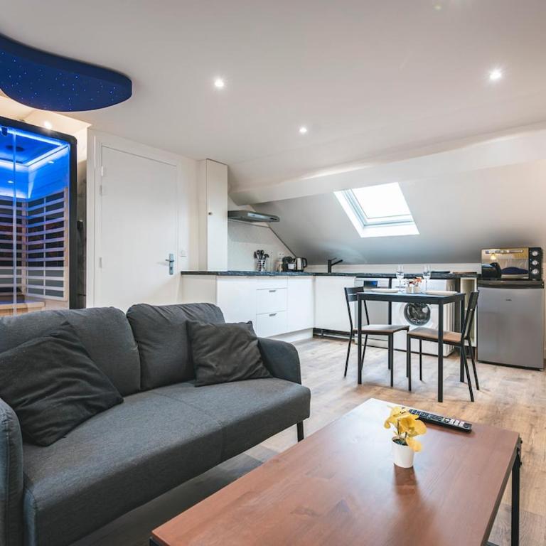 Loft Spa Sauna Hammam Hydromassage - One-Bedroom Deluxe Apartment - 12