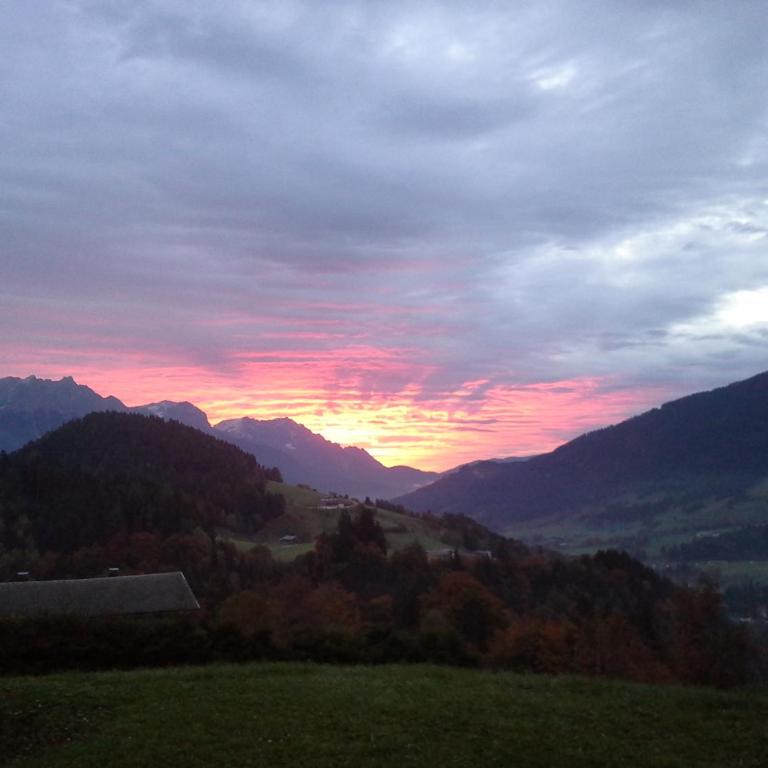 Riedlhof - Leogang - Appartement 1 Chambre - 11