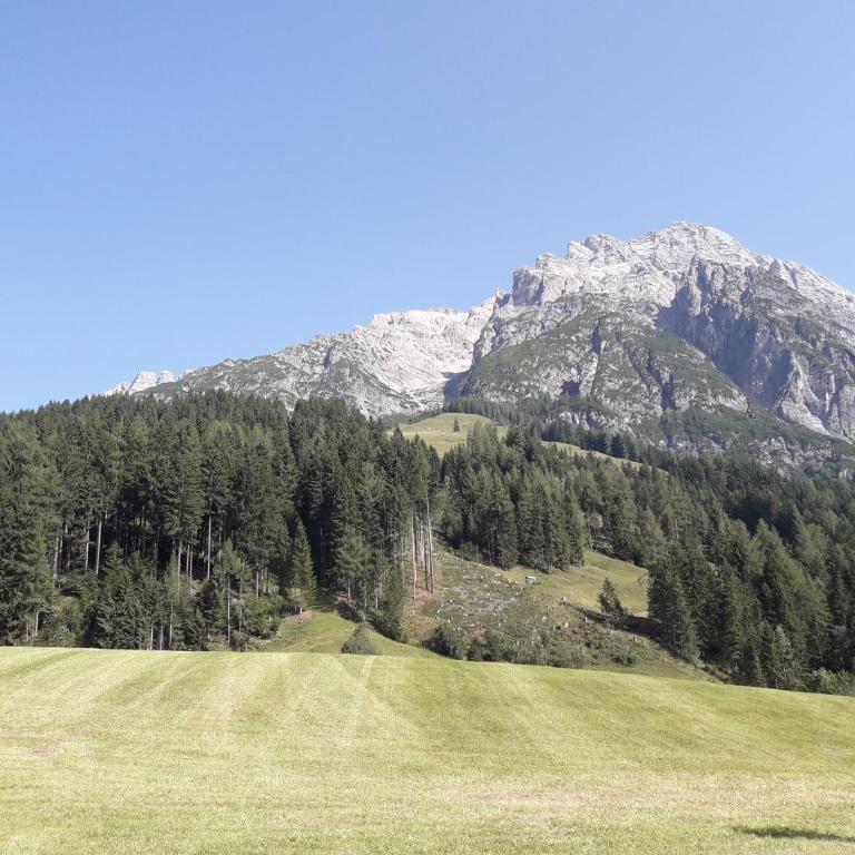 Riedlhof - Leogang - Appartement 1 Chambre - 17