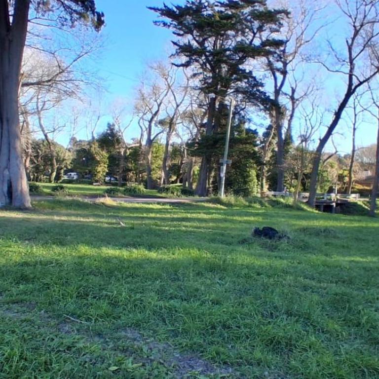 Cabaña Alma Brava II - Casa con 1 dormitorio - 13