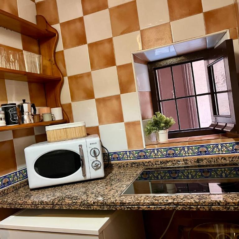 Apartamento Zorayda - One-Bedroom Apartment - 12