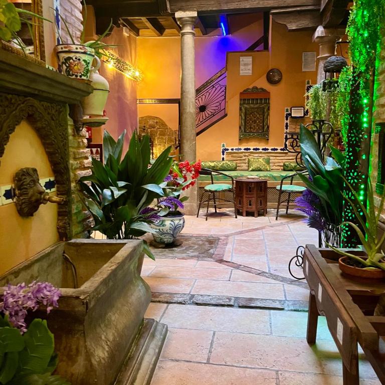 Apartamento Zorayda - One-Bedroom Apartment - 15