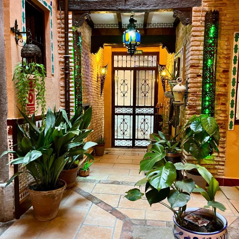 Apartamento Zorayda - One-Bedroom Apartment - 26