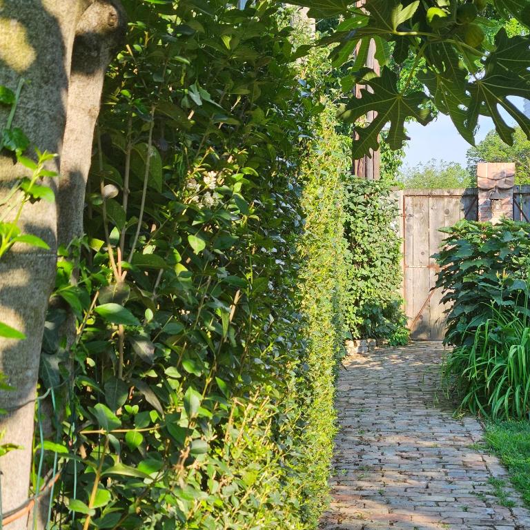 Appartamento con ingresso privato e vista giardino - Apartment with Garden View - 14